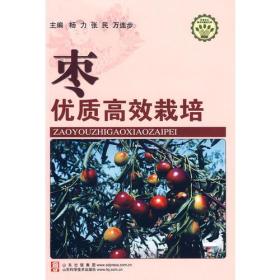 枣优质高效栽培—社会主义新农村建设文库