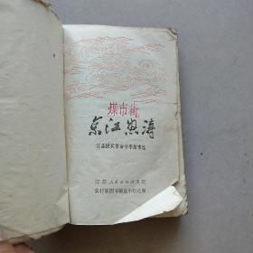 京江怒涛:江苏民兵革命斗争故事选