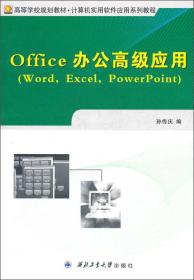 Office 办公高级应用
