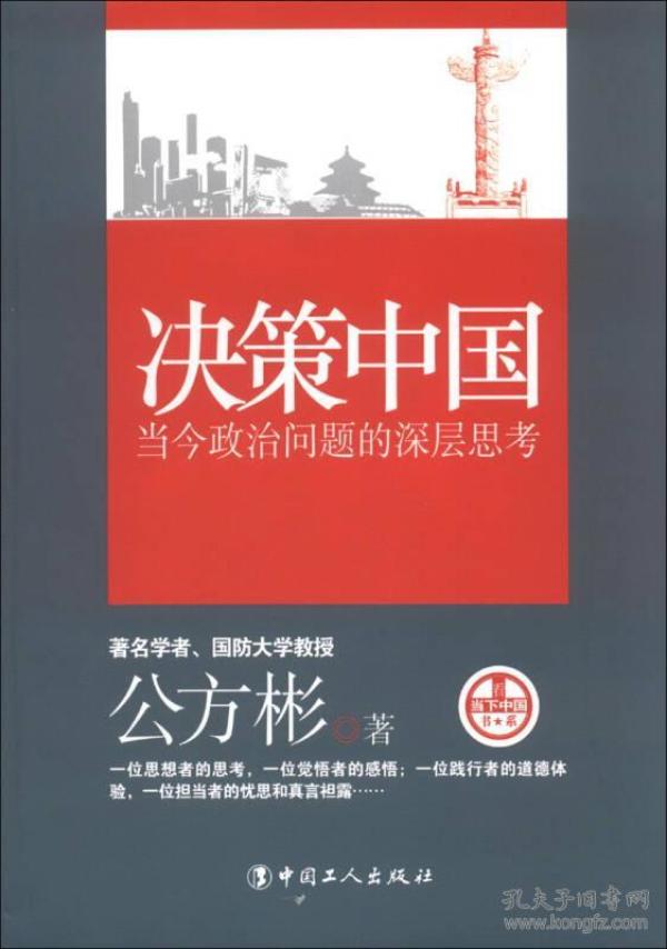 决策中国：当今政治问题的深层思考