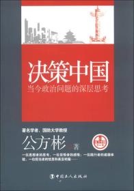 决策中国：当今政治问题的深层思考