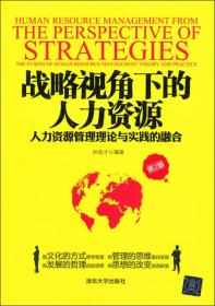 战略视角下的人力资源：人力资源管理理论与实践的融合（第2版）