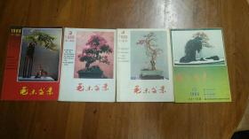 花木盆景  1988.1-12 少5.6.9.10  共四本合售 总23-28期