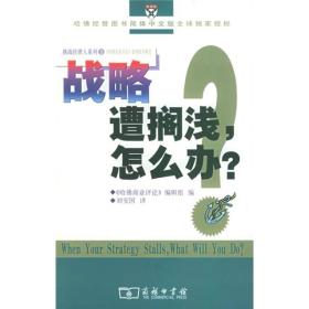 :挑战经理人系列3：战略遭搁浅，怎么办？