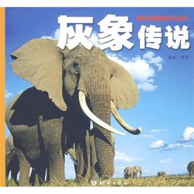 动物王国探险系列丛书：灰象传说
