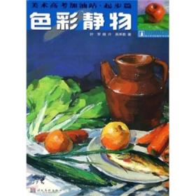 色彩静物：美术高考加油站 （起步篇）