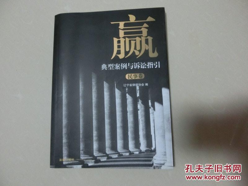 书一本【赢典型案例与诉讼指引——民事卷】法律出版社库4/5