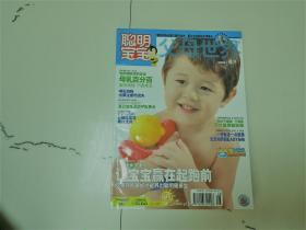 聪明宝宝2005-8