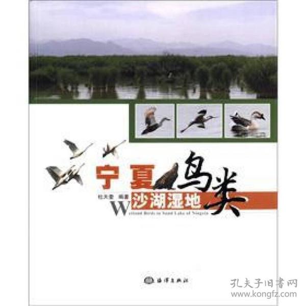 宁夏沙湖湿地鸟类