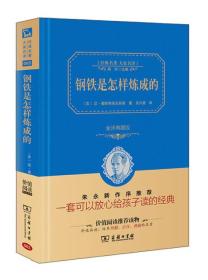 经典名著 大家名译：钢铁是怎样炼成的（全译本 商务精装版）