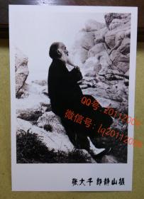 郎静山摄影作品集锦：张大千照片(老画家照片相片) 【明信片  1张】