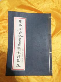 陕西省杏林书画摄影精品集