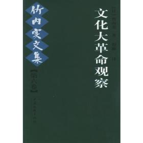 文化大革命观察：竹内实文集[第六卷]