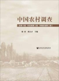 中国农村调查（总第4卷·村庄类第3卷·华南区域第3卷）