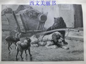 【现货 包邮】1890年木刻版画《拉车犬与流浪犬》Arbeiter und Bummler 1880 尺寸约41*28厘米（货号 M1）