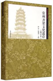 常州齐梁文化遗存（修订本） （16开平装 全1册)