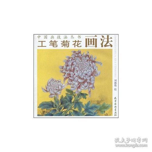 工笔菊花画法