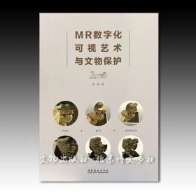 MR数字化可视艺术与文物保护