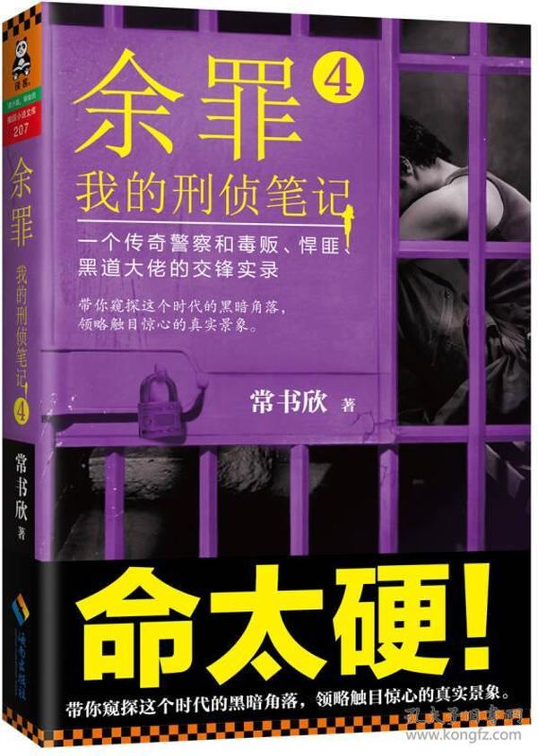 余罪4：我的刑侦笔记