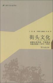 城市与社会译丛·街头文化：成都公共空间、下层民众与地方政治（1870-1930）