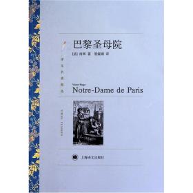 新书--译文名著精选：巴黎圣母院
