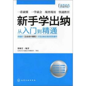 从入门到精通：新手学出纳