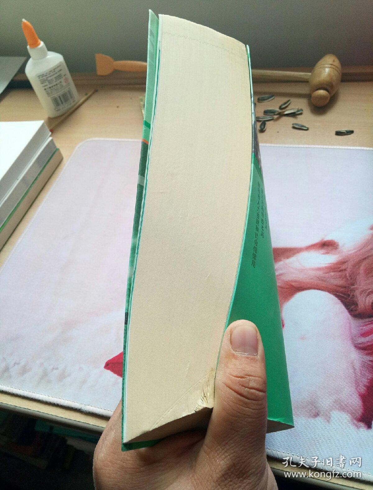 奶牛高效养殖和疾病防治技术指南。