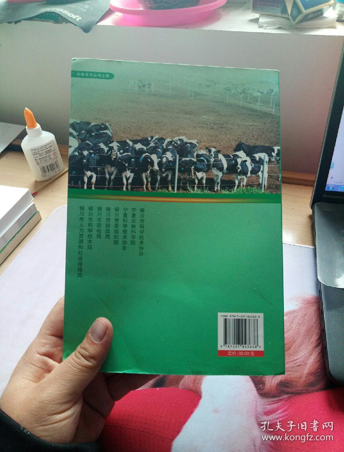 奶牛高效养殖和疾病防治技术指南。