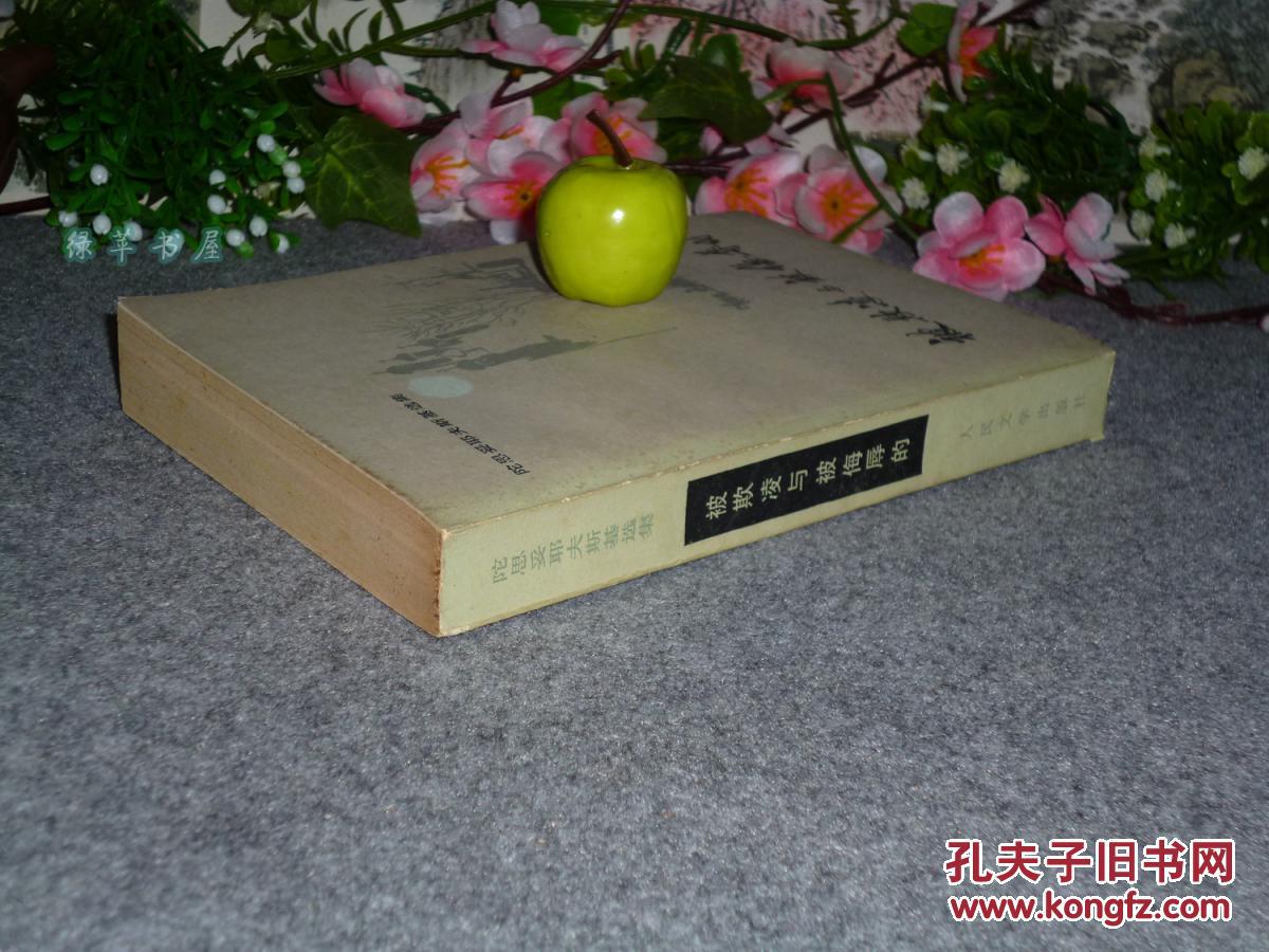 被欺凌与被侮辱的