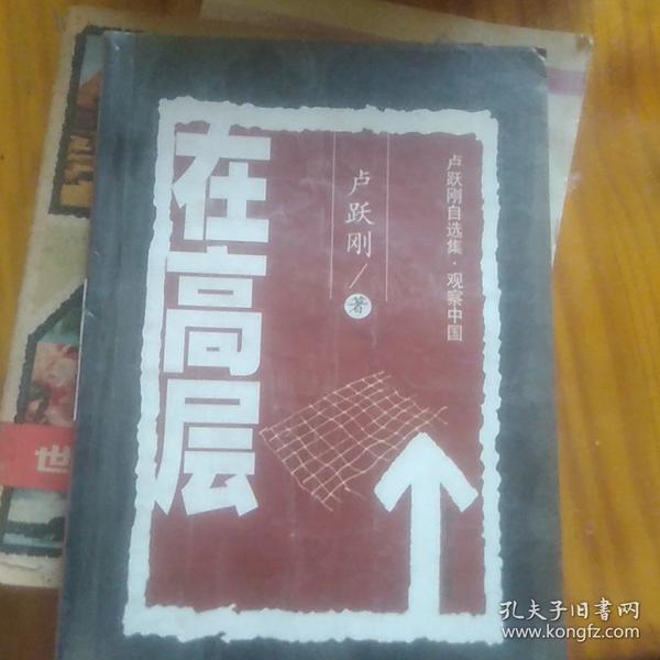 卢跃刚自选集・观察中国：在底层 在高层