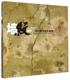 墙纹摄影：徐公诚艺术作品集