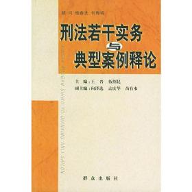 刑法若干实务与典型案例释论