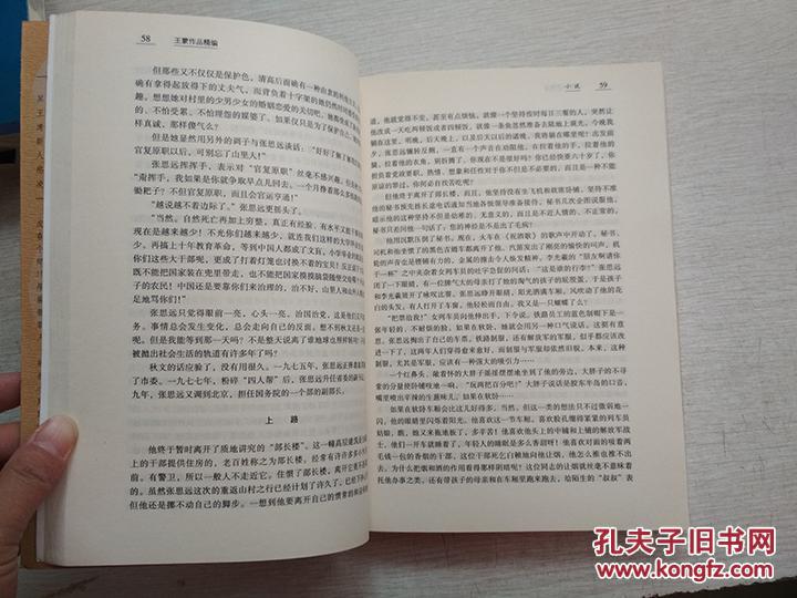 王蒙作品精编中当代作家作品精编漓江出版社2007一版一印【库存】