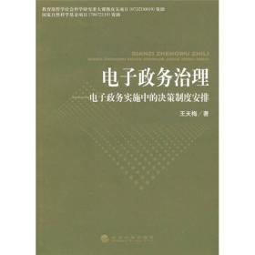 电子政务治理--电子政务实施中的决策制度安排