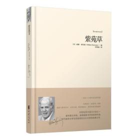 紫苑草