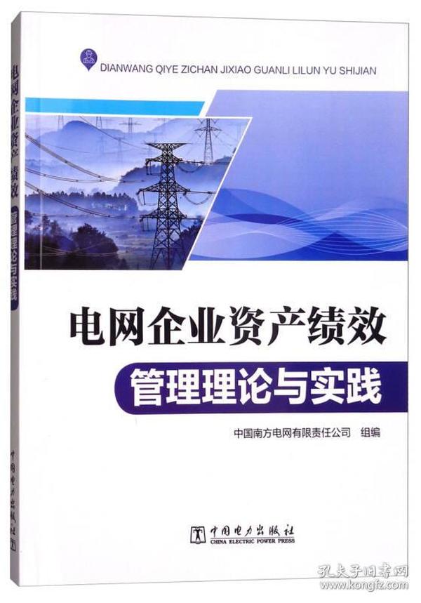 电网企业资产绩效管理理论与实践