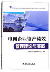 电网企业资产绩效管理理论与实践