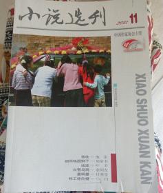 小说选刊    2013年11期