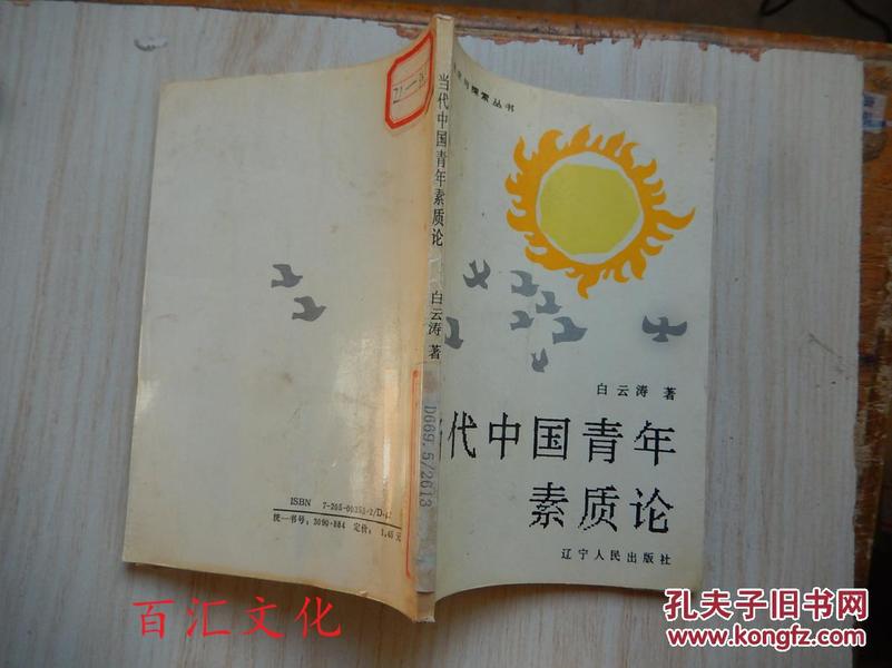追求与探索丛书 ：当代中国青年素质论