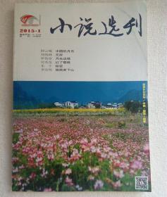 小说选刊    2015年1期