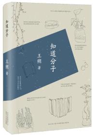 王朔作品精选:知道分子