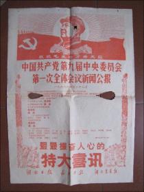 喜报：1969年4月28日（中国共产党第九届中央委员会第一次全体会议新闻公报）