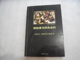 钢铁是怎样炼成的【132】