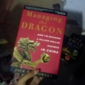 Managing the Dragon: How I'm Building a Billion-