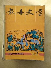 报告文学198707