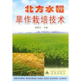 北方水稻旱作栽培技术 JD