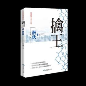 潜伏-擒王-2