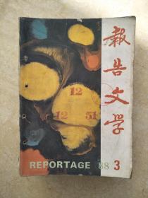 报告文学198803