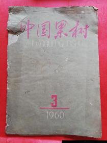 1960年第3期《中国果树》杂志