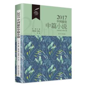 2017中国最佳中篇小说 2017 zhong guo zui jia zhong pian xiao shuo 专著 林建法，林源